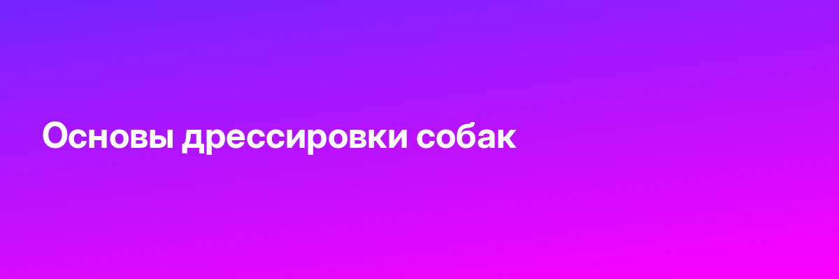 Основы дрессировки собак