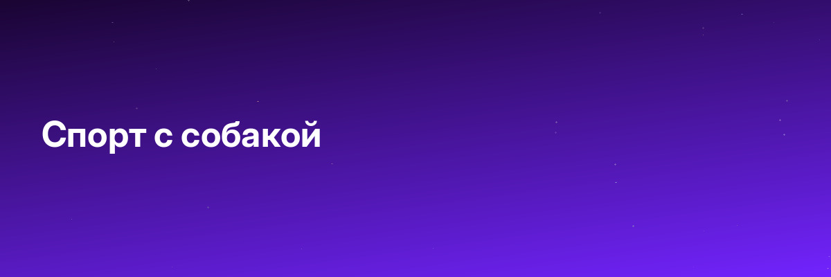 Спорт с собакой