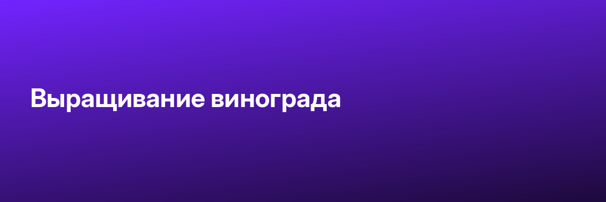 Выращивание винограда