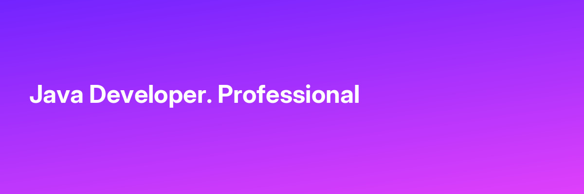 Java Developer. Professional