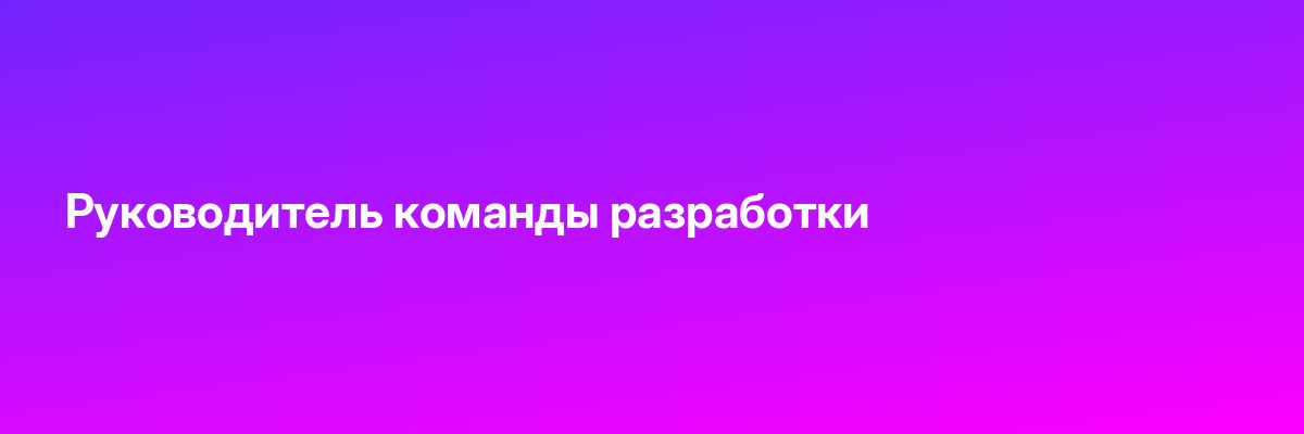 Руководитель команды разработки