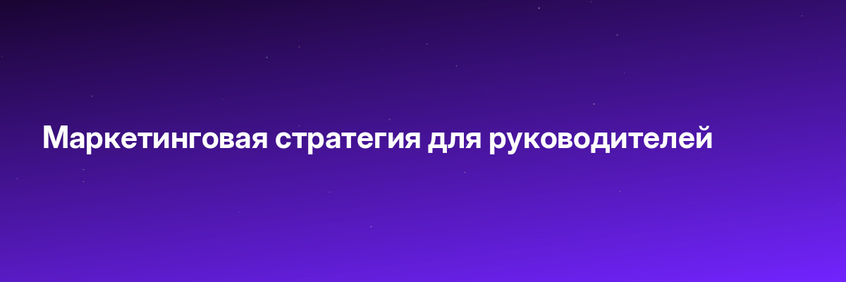 Маркетинговая стратегия для руководителей