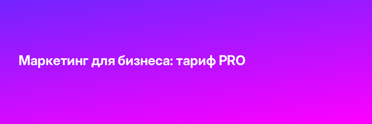 Маркетинг для бизнеса: тариф PRO