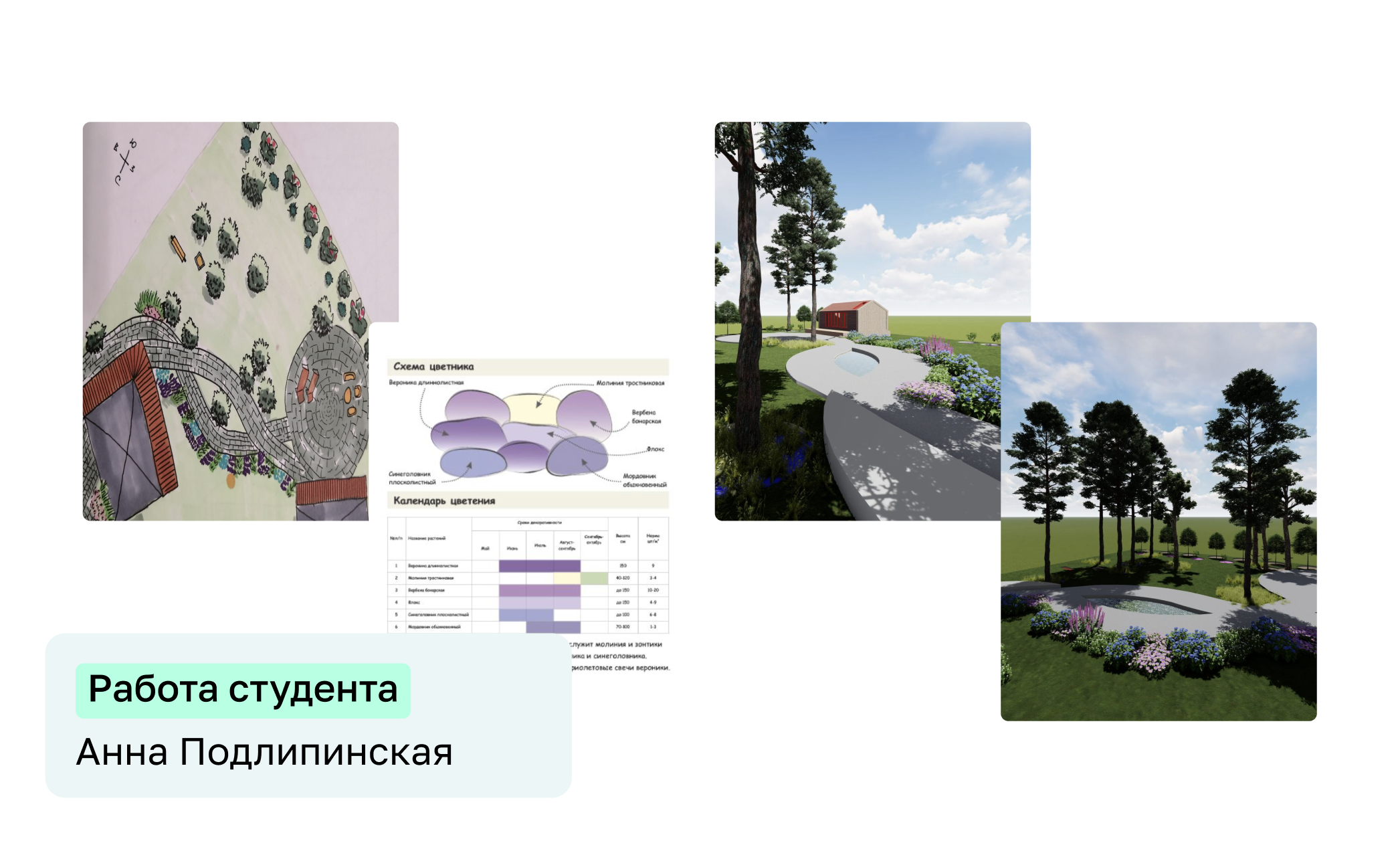 Влад Обласов, Дизайнер