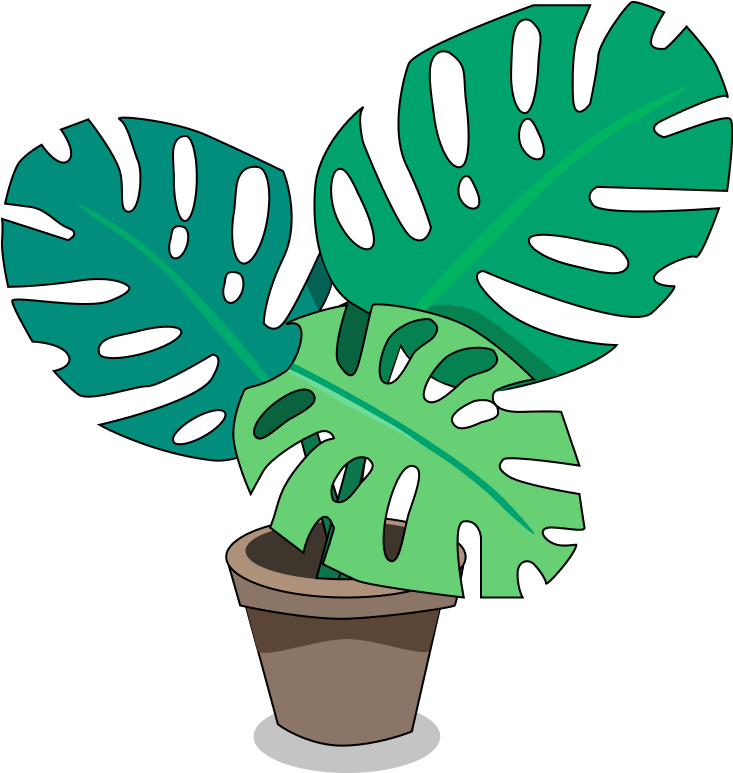 Владислав Килин, Tech Team Lead в Голландской e-commerce компании