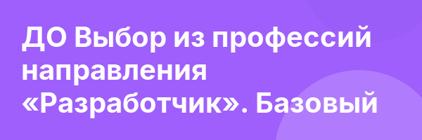 ДО Выбор из профессий направления «Разработчик». Базовый