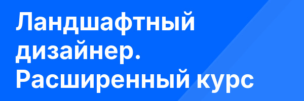 Ландшафтный дизайнер. Расширенный курс