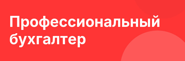 Профессиональный бухгалтер