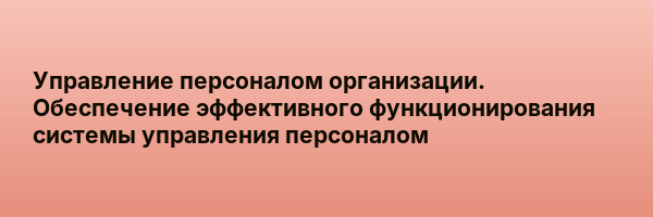 Управление персоналом организации. Обеспечение эффективного функционирования системы управления персоналом